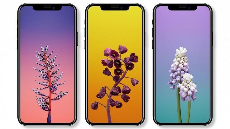 iphone-x-311a56aa3c59cb4c56b4e56ea2349f064