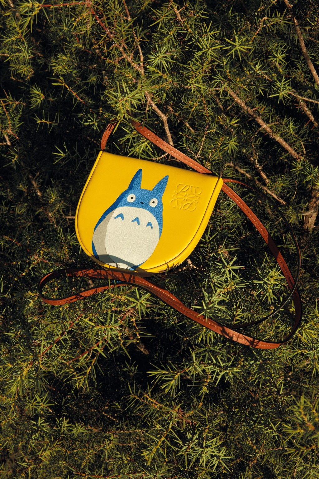 TRA MODA E CARTOON, ECCO LA NUOVA CAPSULE COLLECTION LOEWE X MY NEIGHBOR&nbsp;TOTORO